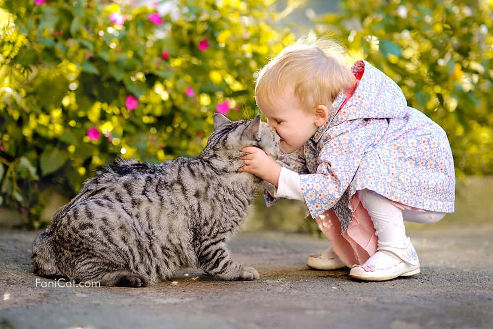 Gambar gadis cilik mencium kucing