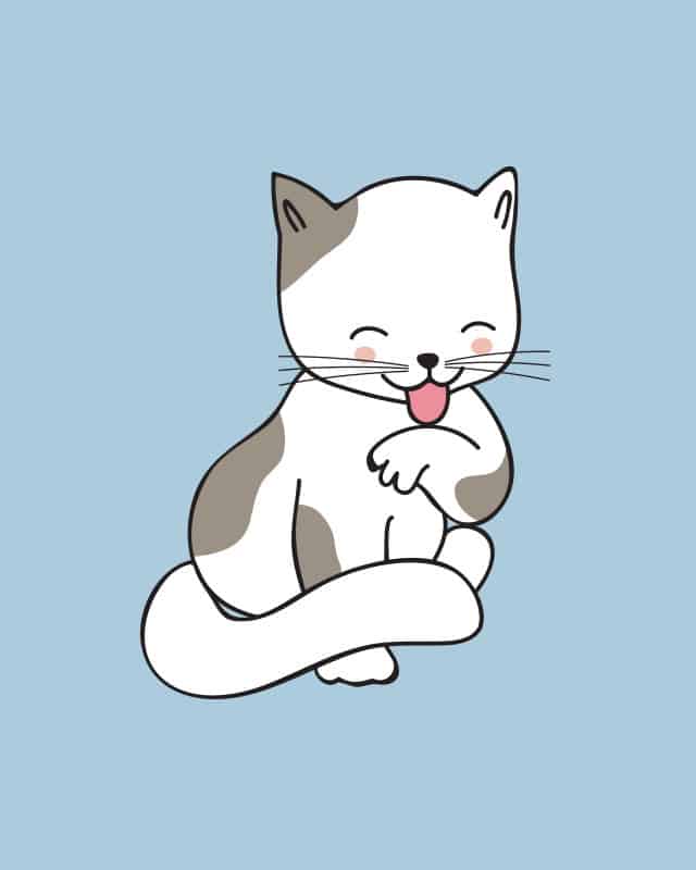 Gambar kucing comel kartun