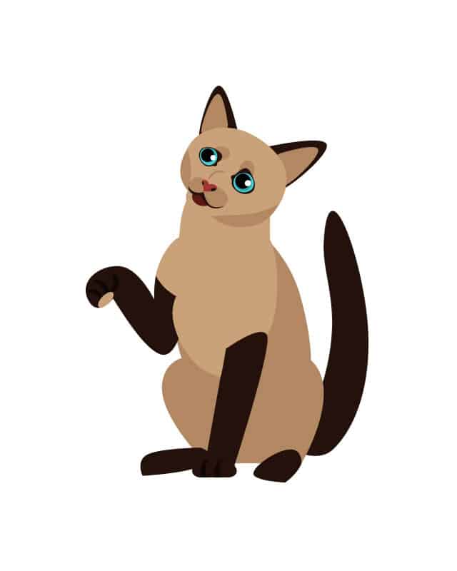 Gambar Kucing Kartun Berwarna yang Imut dan Lucu