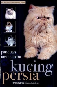 Panduan memelihara kucing persia