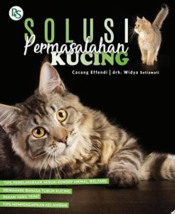 Solusi permasalahan kucing