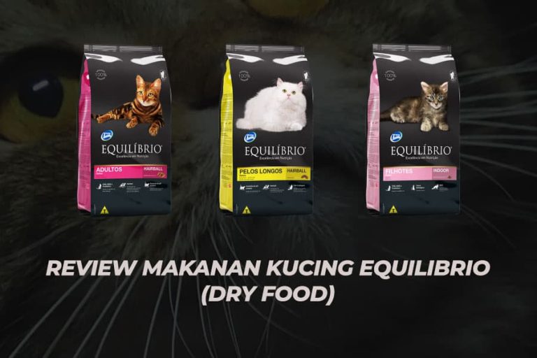 Review makanan kucing Equilibrio
