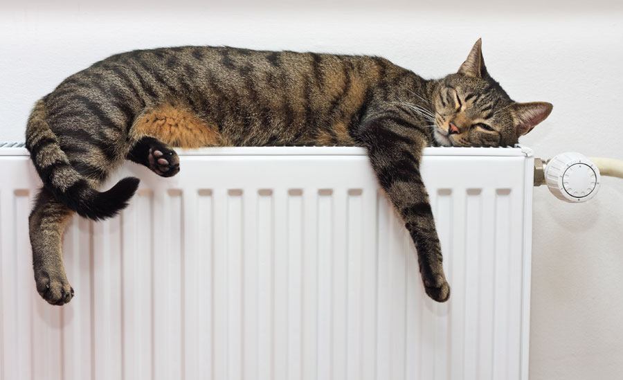 gambar kucing tidur di atas radiator