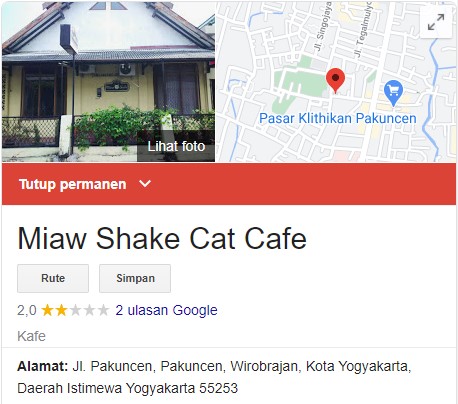 Miaw shake cat cafe