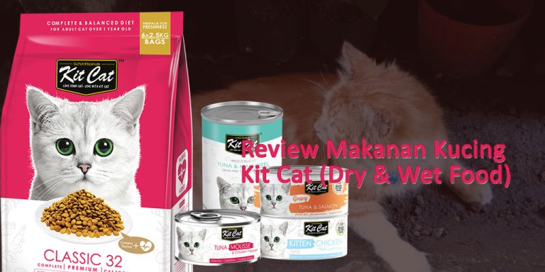 Review makanan kucing Kit Cat