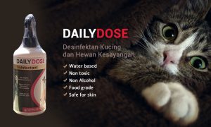 Daily Dose desinfektan kucing dan pet