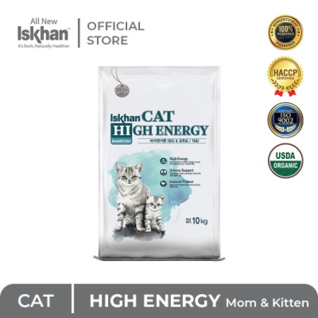 Iskhan Cat High Energy Mom Kitten