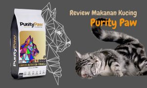 Review makanan kucing Purity Paw