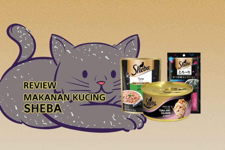 review makanan kucing sheba