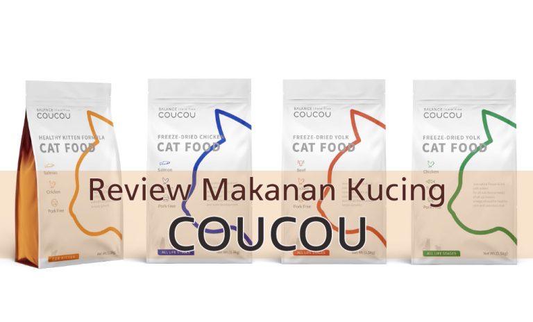 Review makanan kucing Coucou