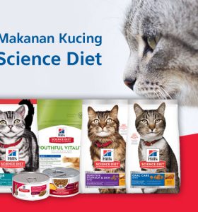 Review makanan kucing Hills Science Diet