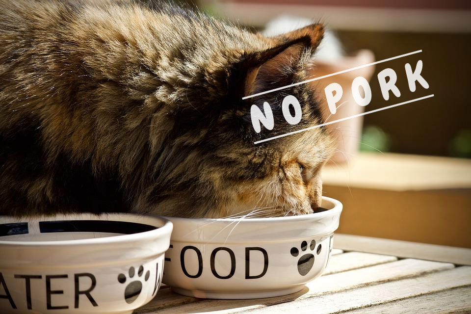 makanan kucing no pork