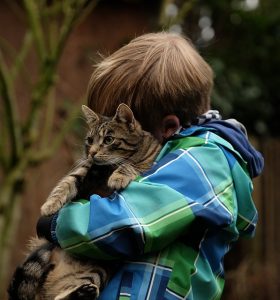 manfaat memelihara kucing untuk anak