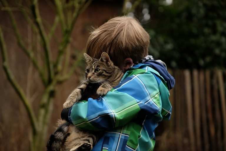 manfaat memelihara kucing untuk anak