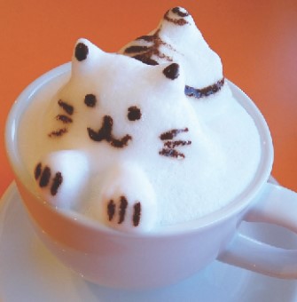 3d cat latte choco