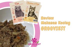 Review makanan kucing Grooviest