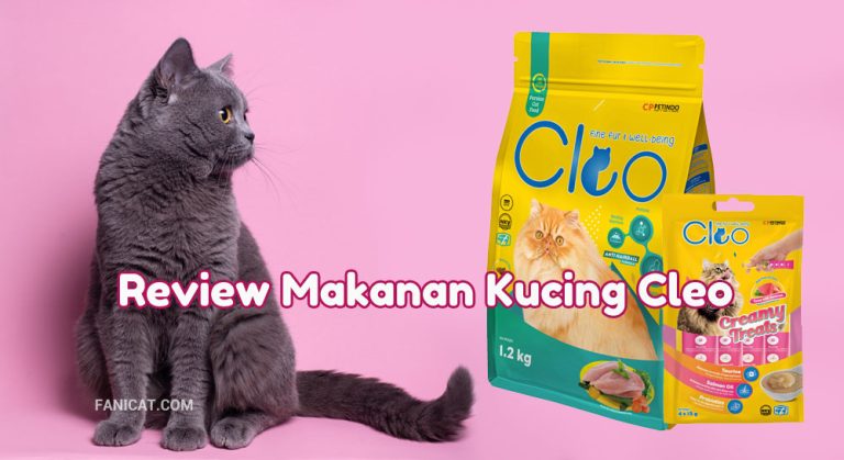 Review makanan kucing Cleo