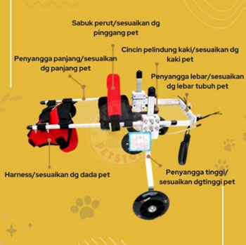 kursi roda untuk kucing 2 roda dengan harness