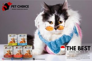 review makanan kucing pet choice