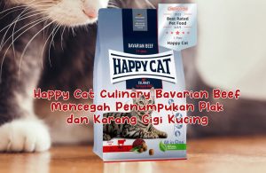 review happy cat culinary bavarian beef