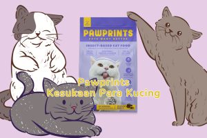 review makanan kucing pawprints