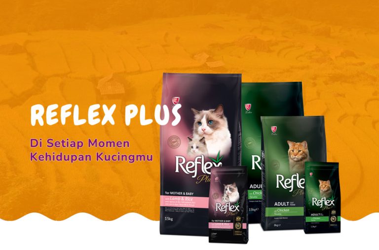 review makanan kucing reflex plus